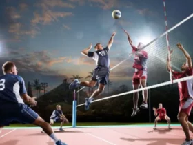 Sporty drużynowe